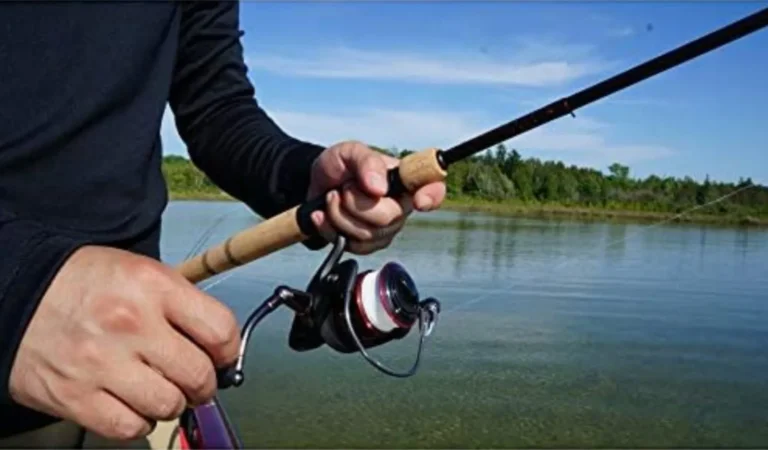 Ugly Stik Elite Spinning Rod