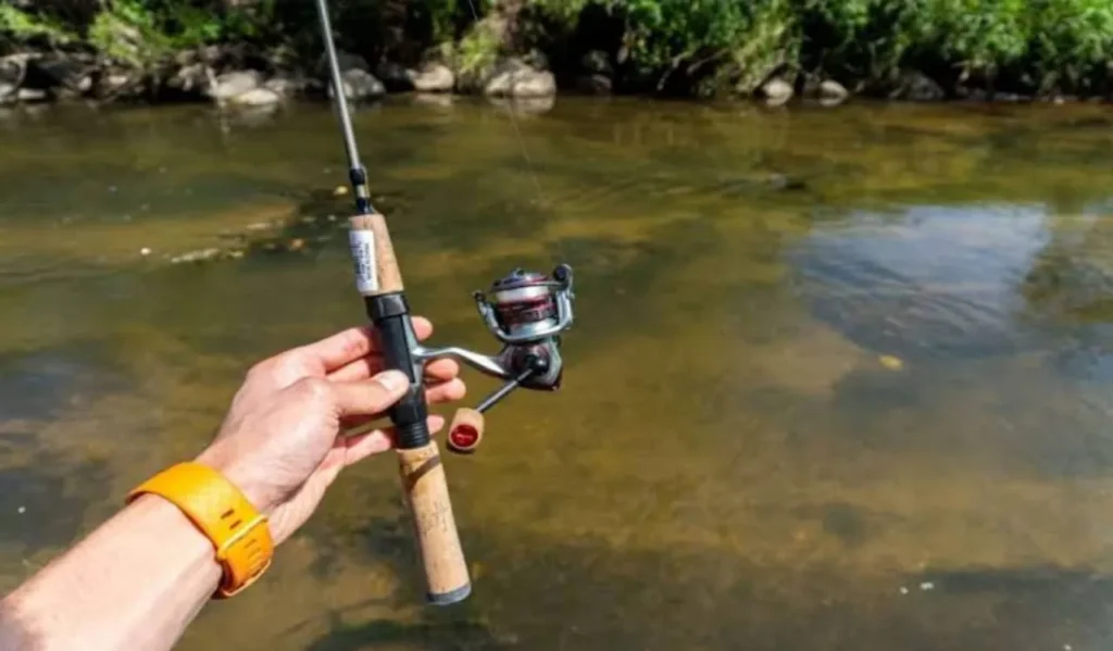 Ultralight Fishing Guide: Best Gear, Tips and Techniques for Beginners 1 Ultralight Fishing Rods Guide