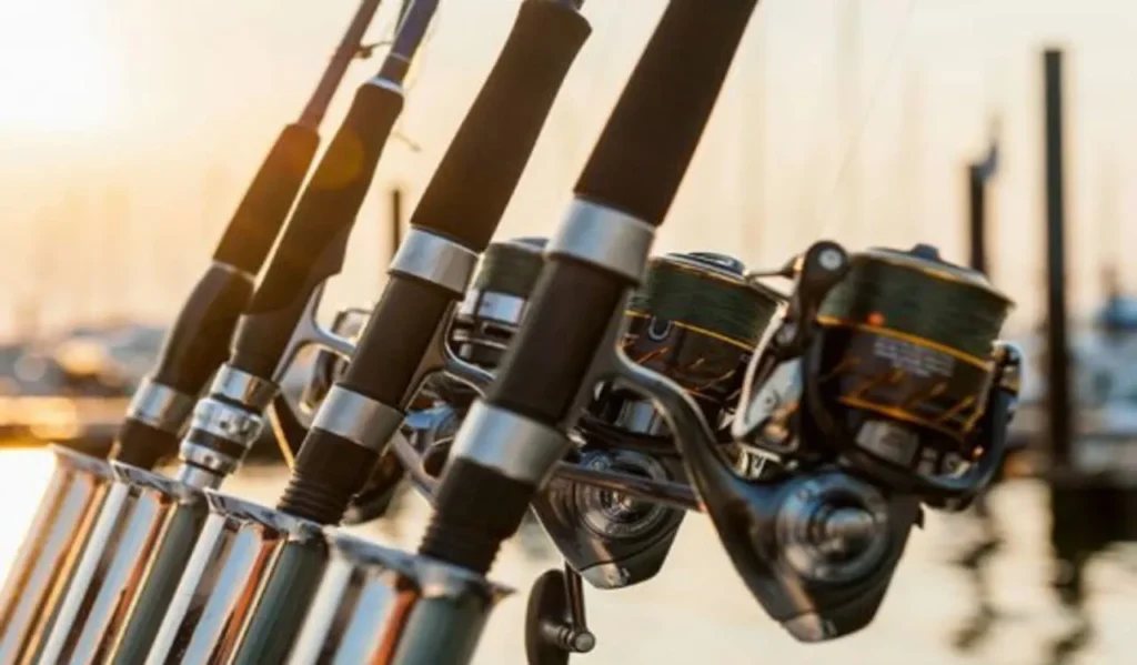 Understanding Fishing Reel Types