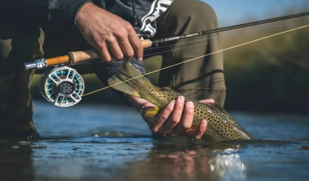 Understanding Gear Ratio Basics