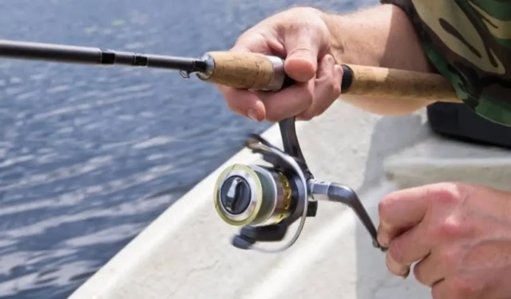 How to Adjust Drag On a Fishing Reel: Complete Guide 1 Understanding Reel Drag
