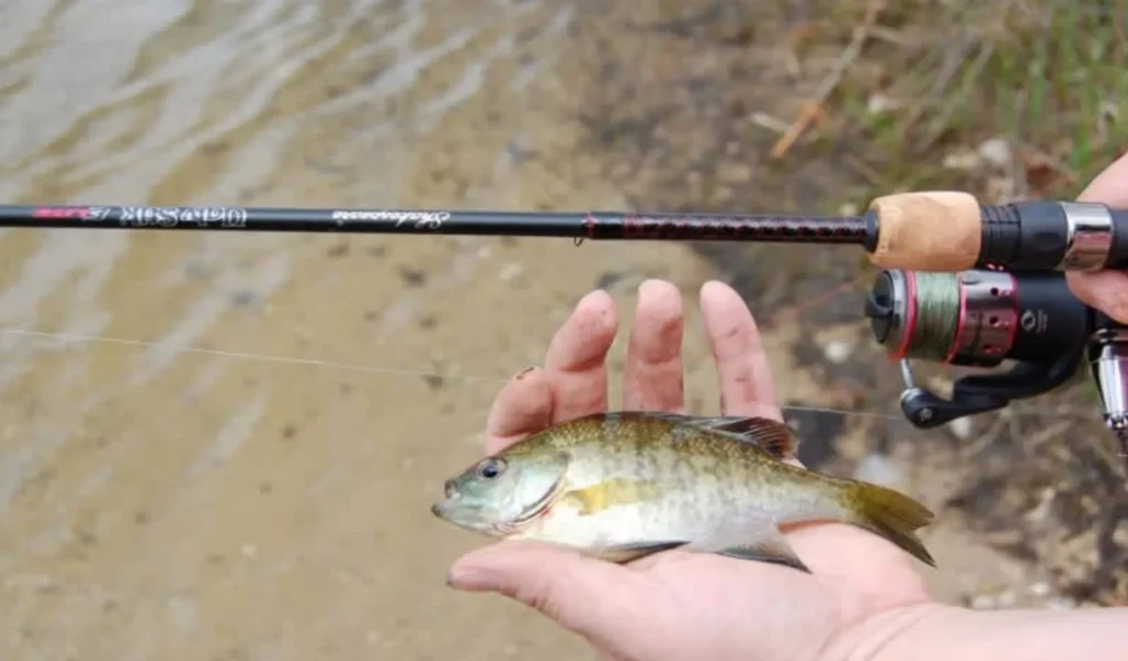 Ugly Stik Elite Spinning Rod: Durable Rod for Freshwater and Saltwater 3 Versatility for Different Fishing Styles