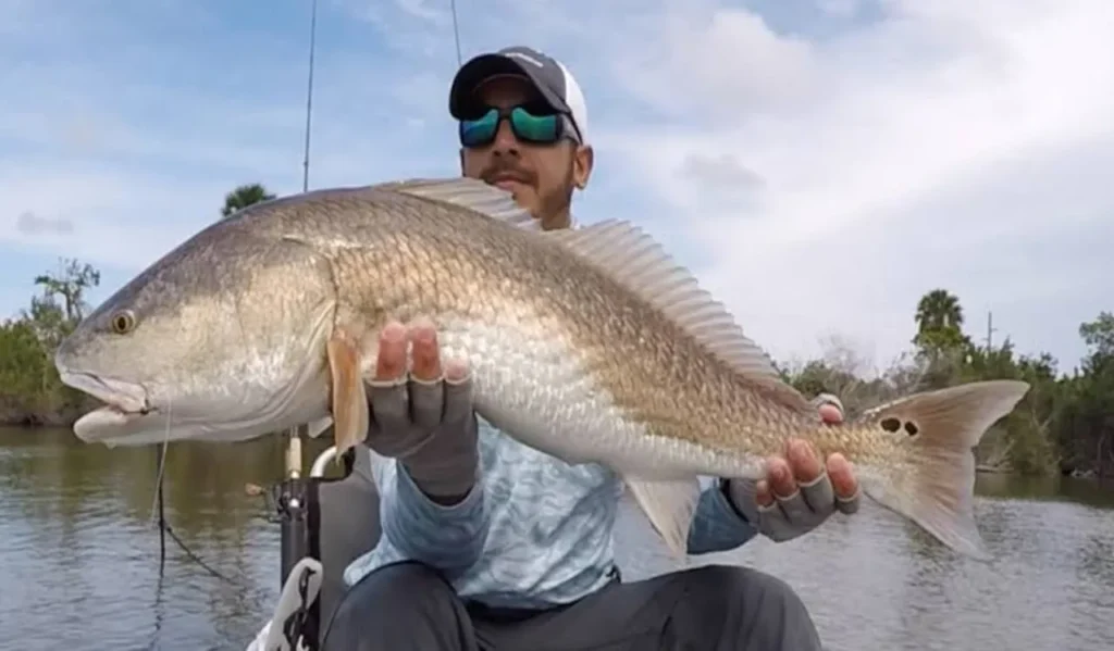 Watch the Fish Bite