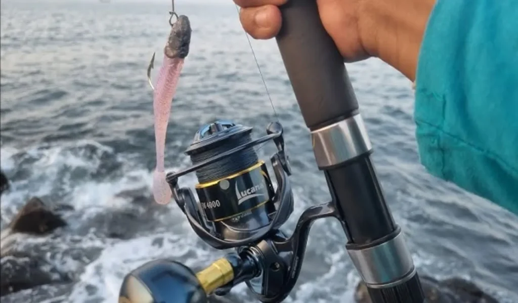 What Is a Fishing Reel & How to Use The Best Fishing Reels