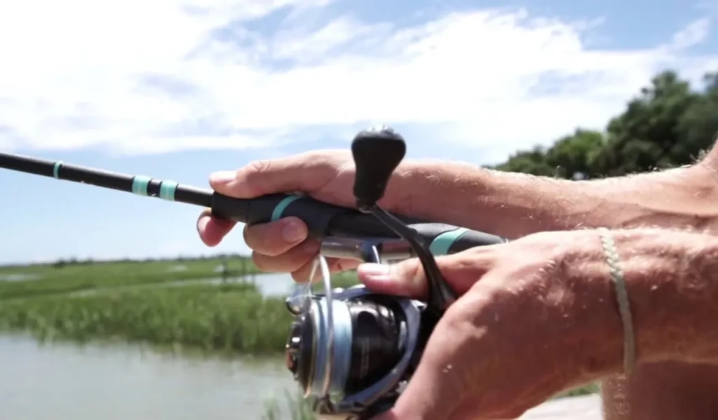 What Is a Freshwater Reel?