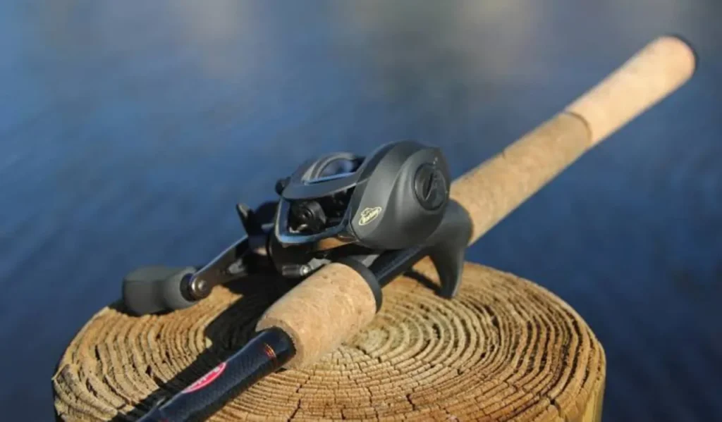 Berkley Spinning Fishing Rod: Ultimate Guide for Buyers 3 Why Choose Berkley Lightning Rod Over Other Rods