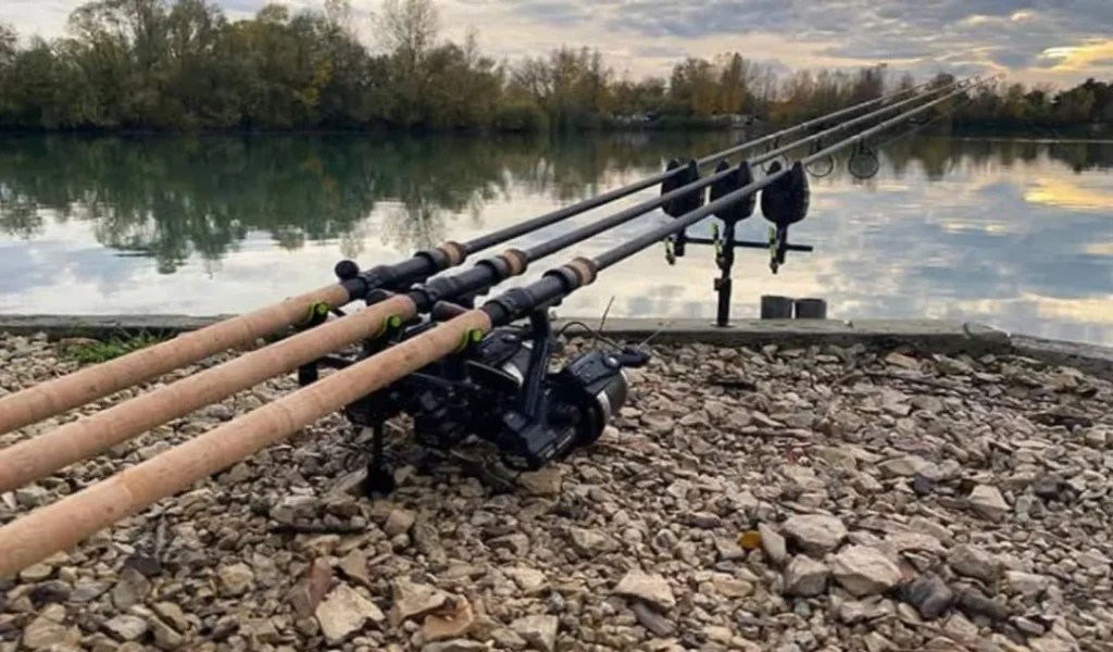 Why Choose PLUSINNO Two Piece Rod Over Other Rods