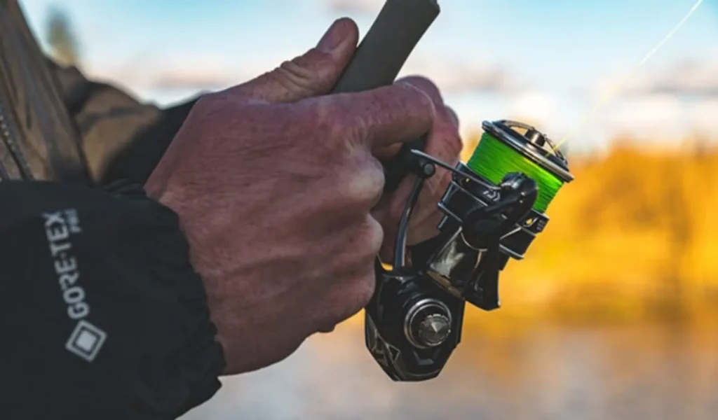 Why Choose Tatula MQ LT Over Other Reels