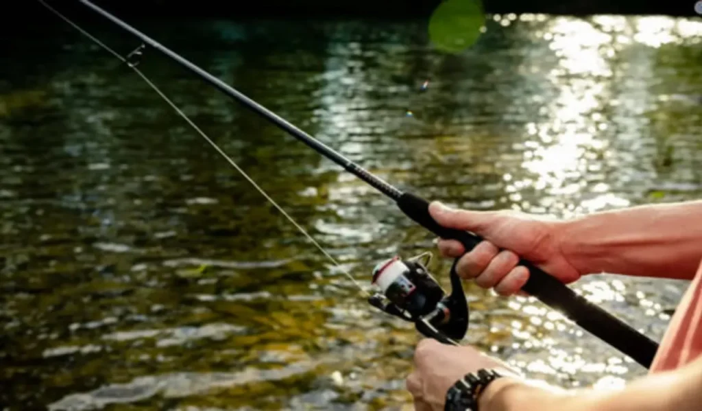 Why Choose Ugly Stik GX2 Spinning Rod Over Other Rods