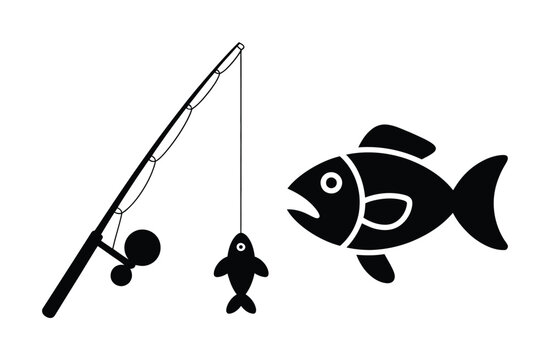 rods and reels combo