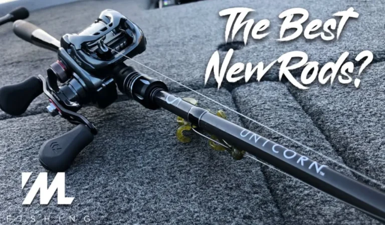 Best Fishing Rod for Accuracy