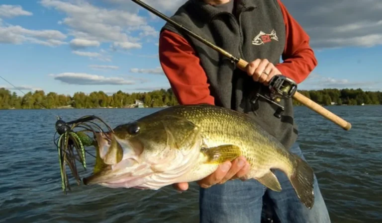 Best Fishing Setup for Beginners