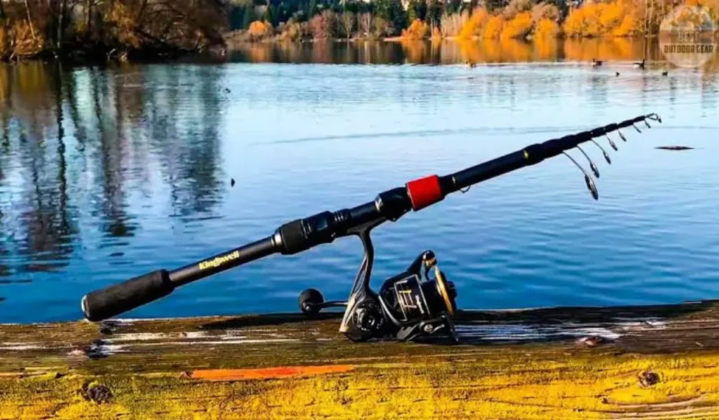 Best Rod Action for Accuracy