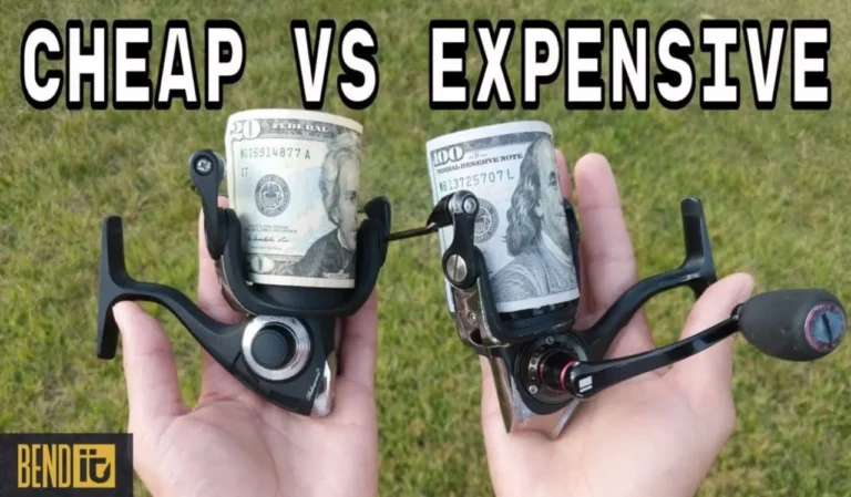Cheap vs Expensive Fishing Reel