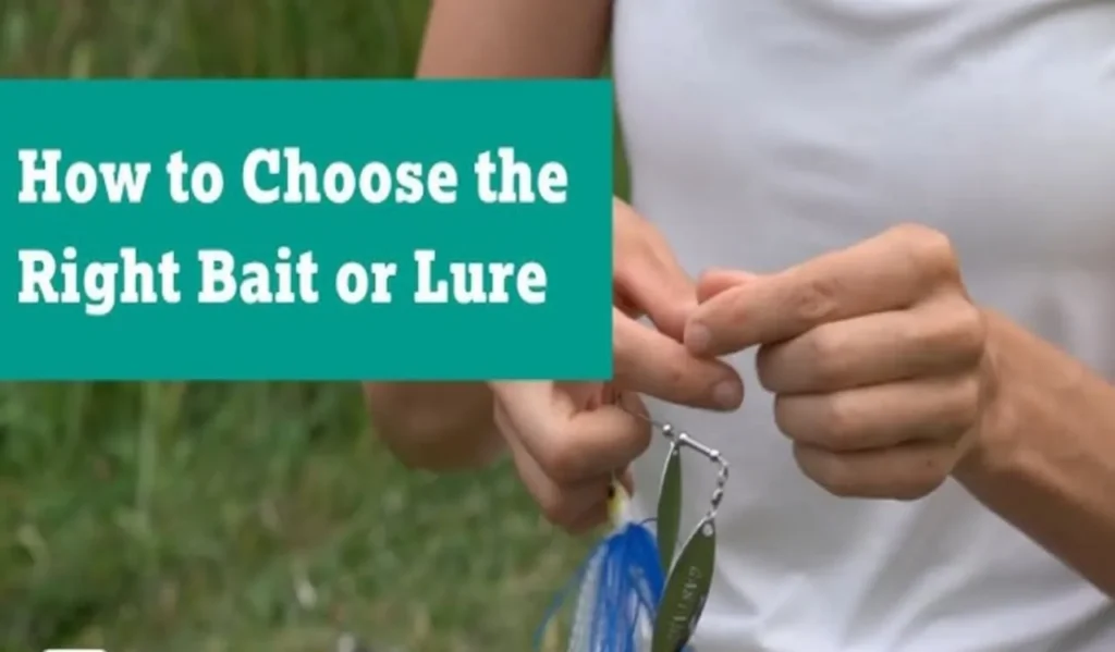 Choosing Lure Types Based on Fish Species