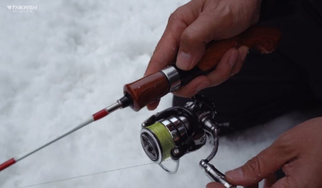 Choosing the Right Reel