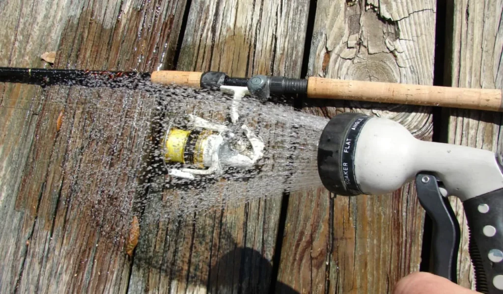Cleaning Spinning and Baitcasting Reels