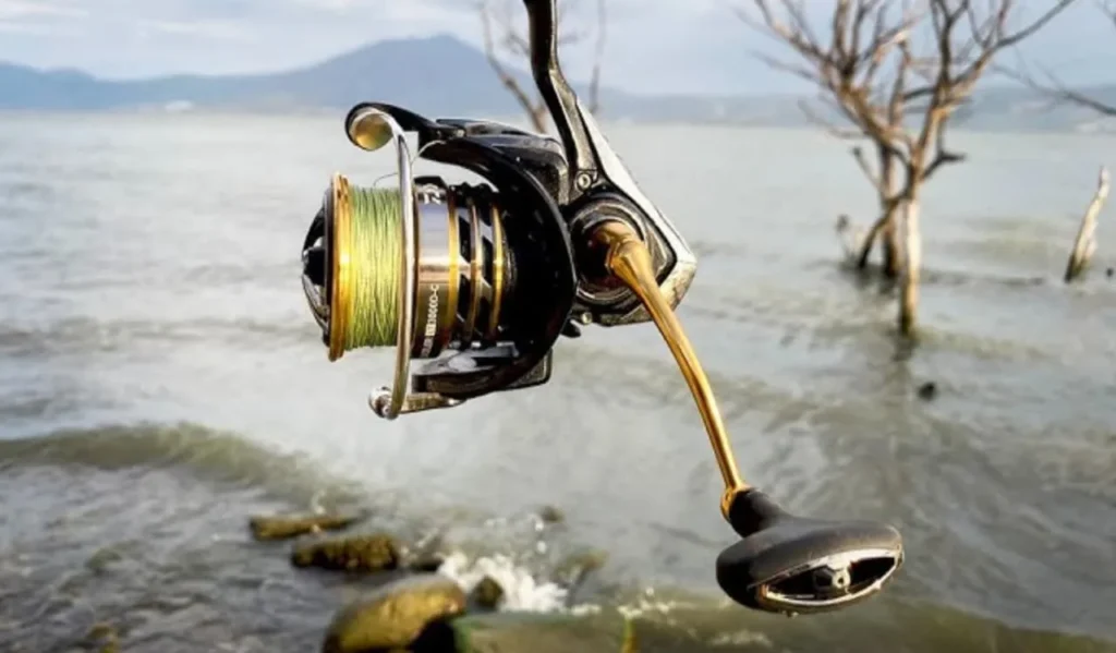 What Is a Fishing Reel and How to Use the Best Fishing Reels 1 Different Types of Fishing Reels