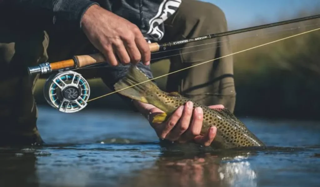Drag Systems for Saltwater Fishing