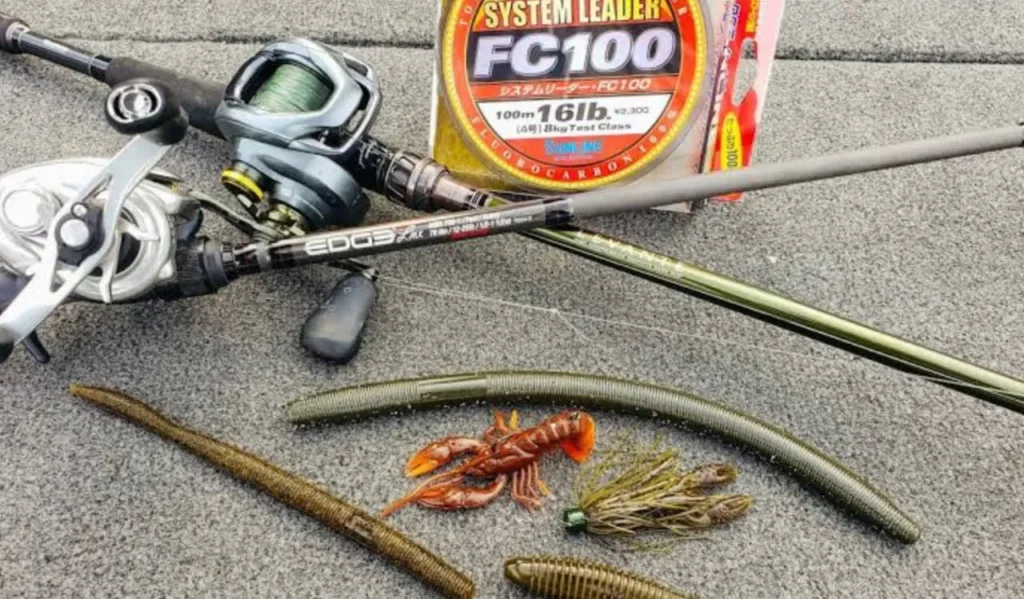 Essential Fishing Gear for Beginners