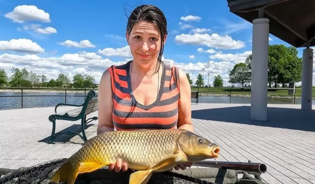 Fishing Carp in Rivers and Streams