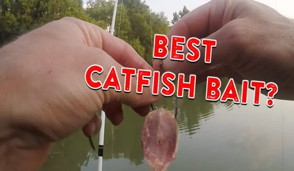 Fishing Catfish in Rivers and Streams