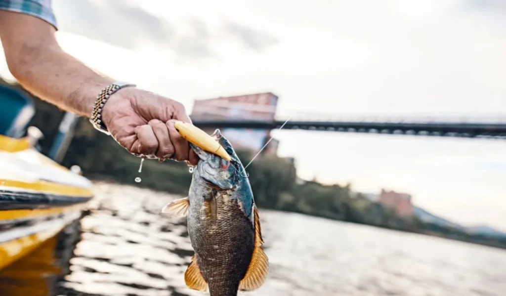 Fishing License Rules and Regulations
