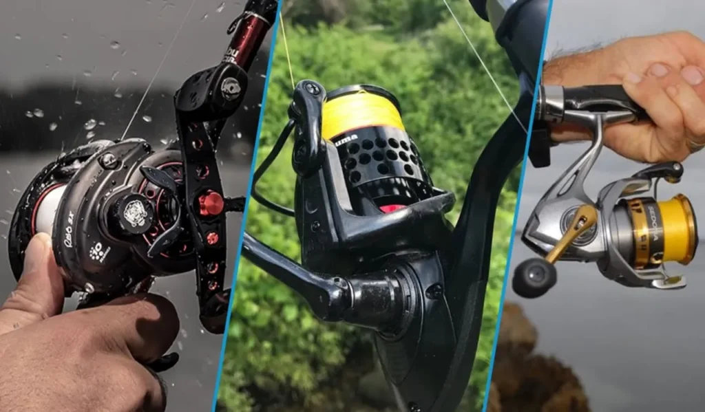 Cheap vs Expensive Fishing Reel: Ultimate Guide for Beginners 3 Fishing Performance and Reliability