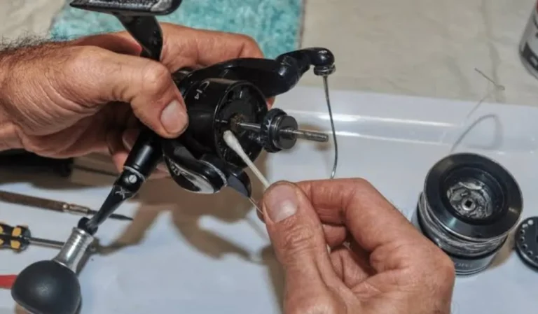 Fishing Reel Maintenance Guide