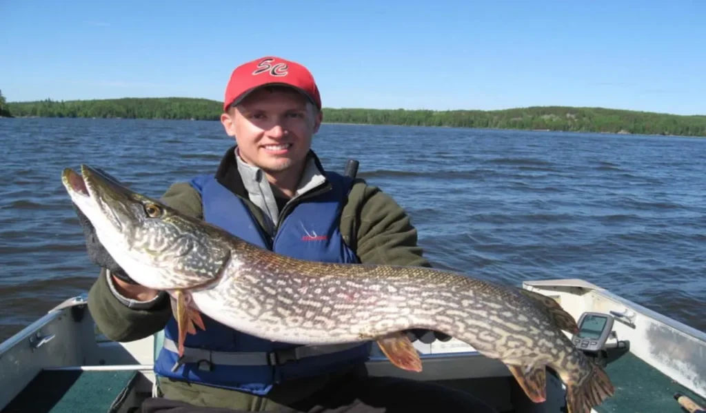 Fishing Pike in Lakes and Ponds