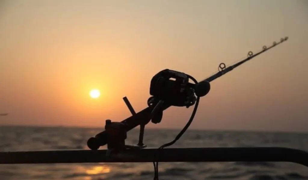 Check Rod Action and Power