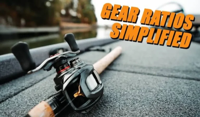How to Choose the Best Gear Ratio for Your Reel