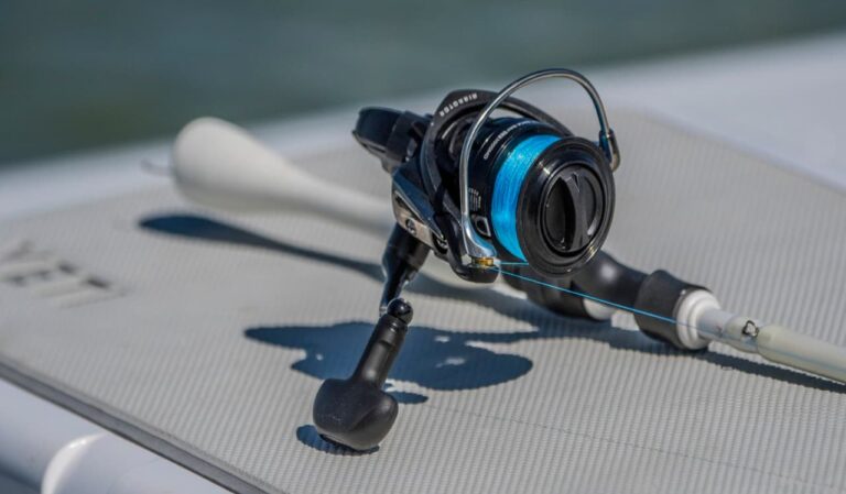 How to Choose the Right Fishing Reel
