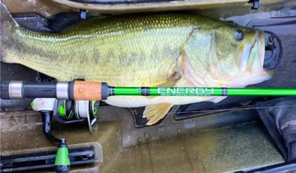 How to Fish Bass with Spinning Gear
