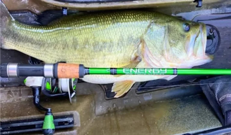 How to Fish Bass with Spinning Gear