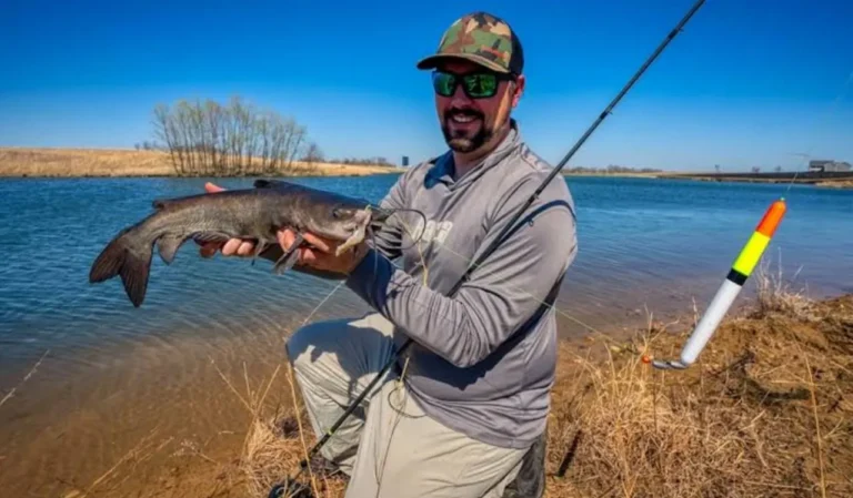 How to Fish for Catfish with Heavy Rods