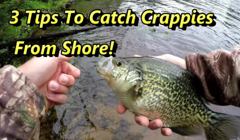 How to Fish for Crappie with Ultralight Rods