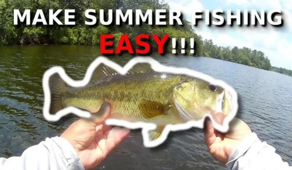 How to Fish in Hot Summer Weather