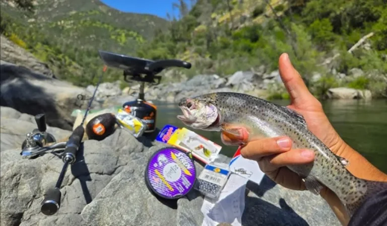 How to Fish in Rivers Using Spinning Rods