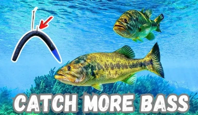 How to Fish in Shallow Water