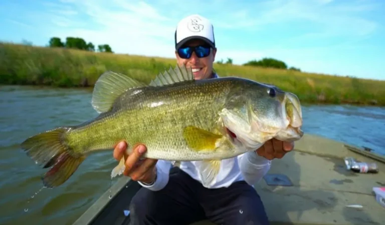 How to Land Big Fish Without Breaking Your Line
