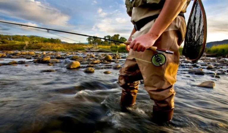 How to Select Fishing Gear for Freshwater