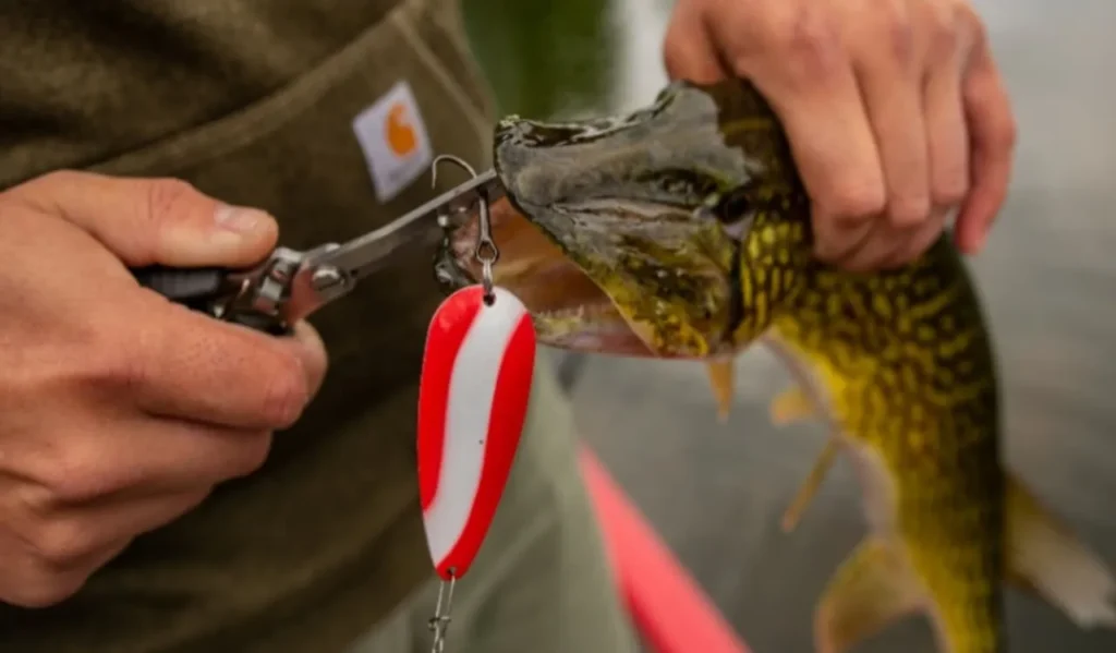 Setting the Hook with Different Reels