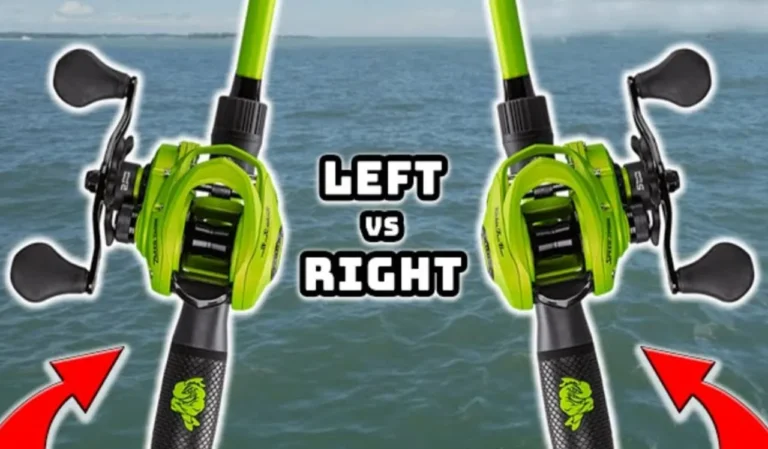 Left-Hand vs Right-Hand Fishing Reel