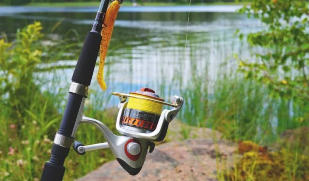 Line and Lure Selection