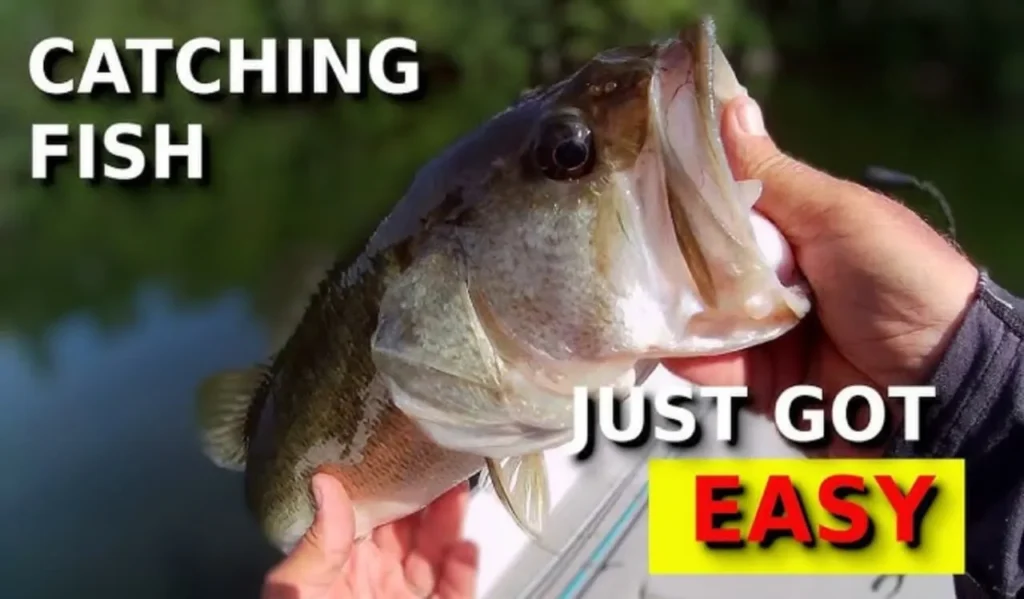 How to Fish in Shallow Water: Ultimate Guide for Beginners 1 Line and Lure Selection