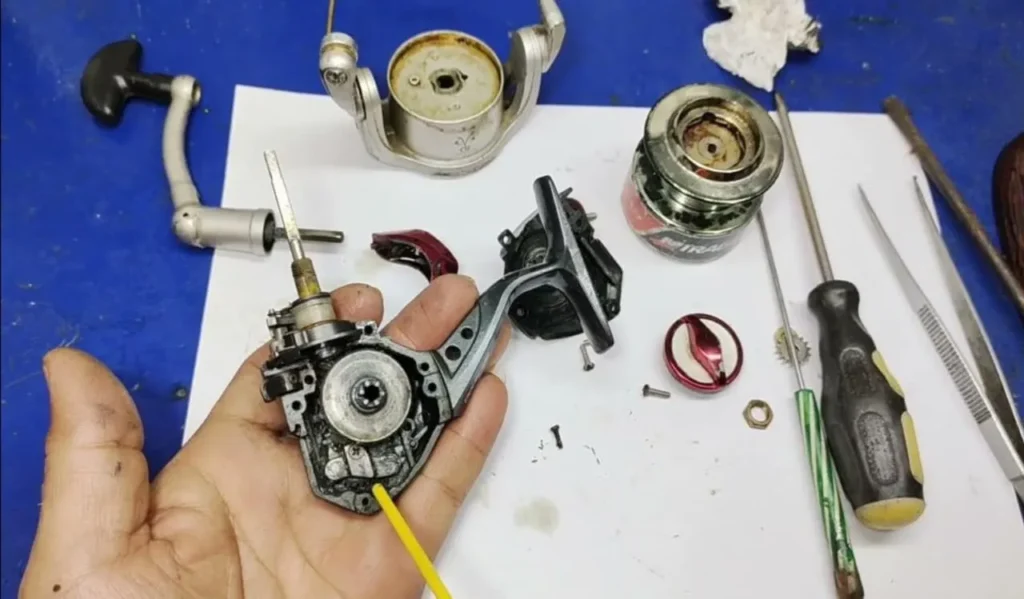 Lubricating Reel Components