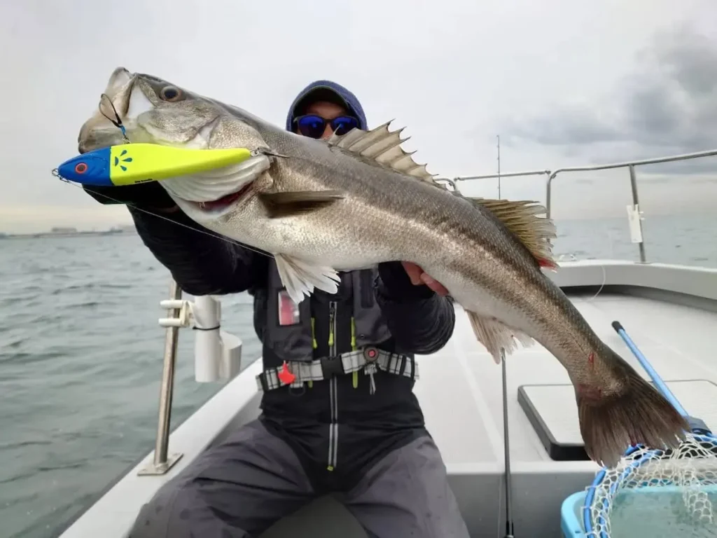 Lure Selection for Baitcasting Gear