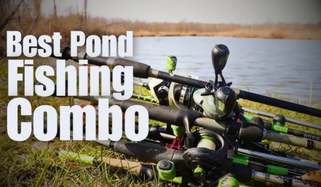 best pond fishing setups