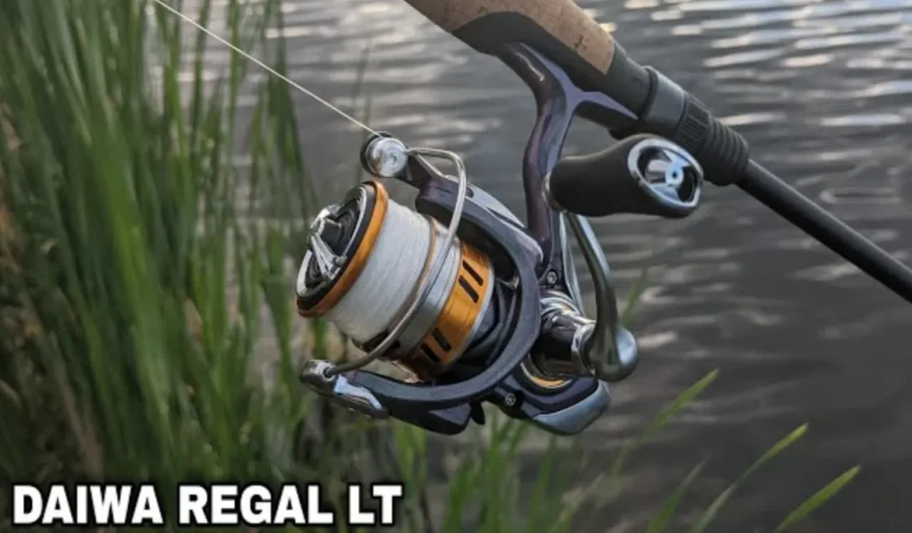 Materials and Durability of daiwa regal spinning reel